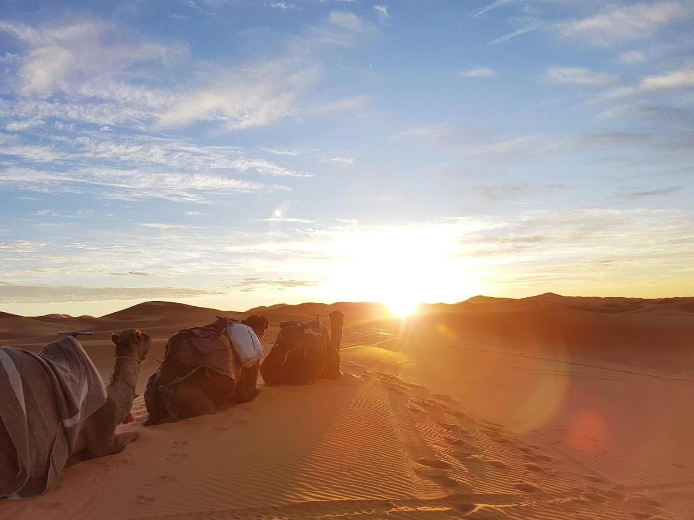 Les Roches Desert Camp Мерзуга Экстерьер фото